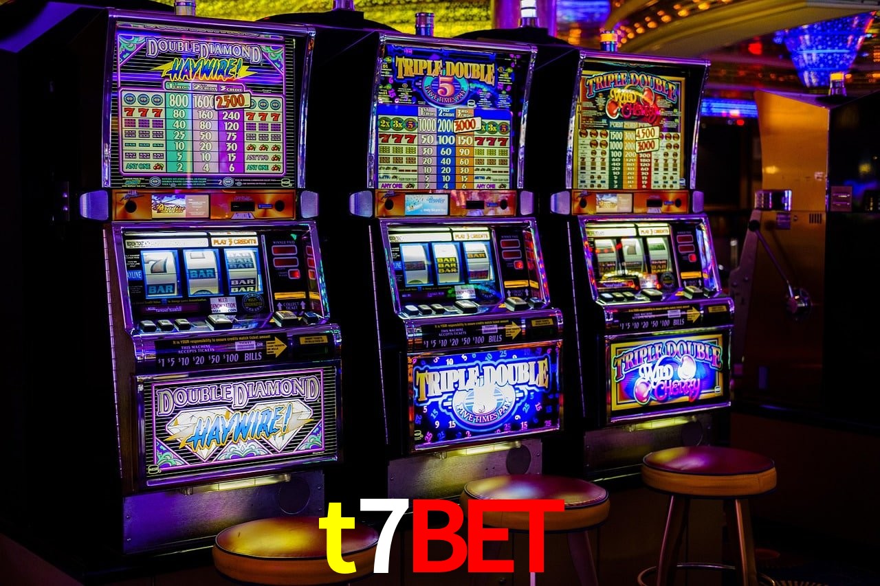 Sports Statistics t7bet